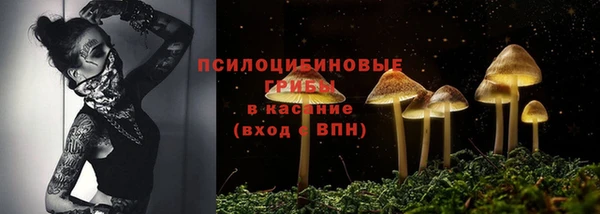 дживик Алексин