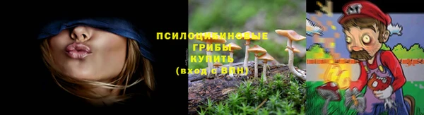 дживик Алексин