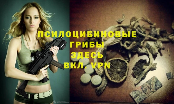 дживик Алексин