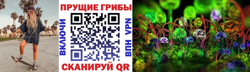 Галлюциногенные грибы MAGIC MUSHROOMS  закладки  Якутск 