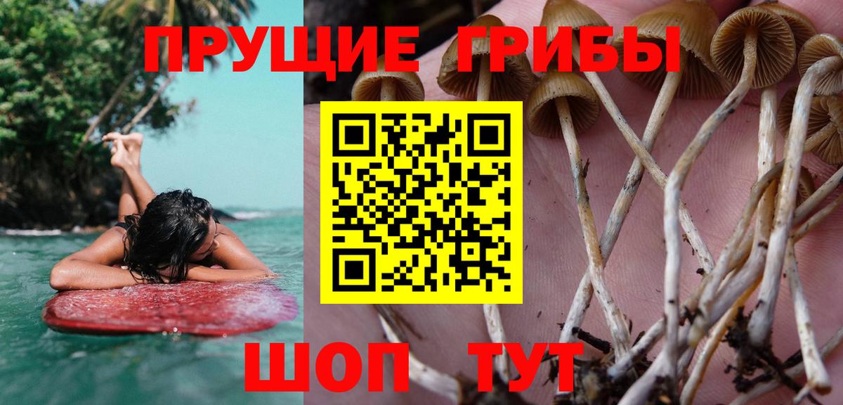 Псилоцибиновые грибы ЛСД Якутск